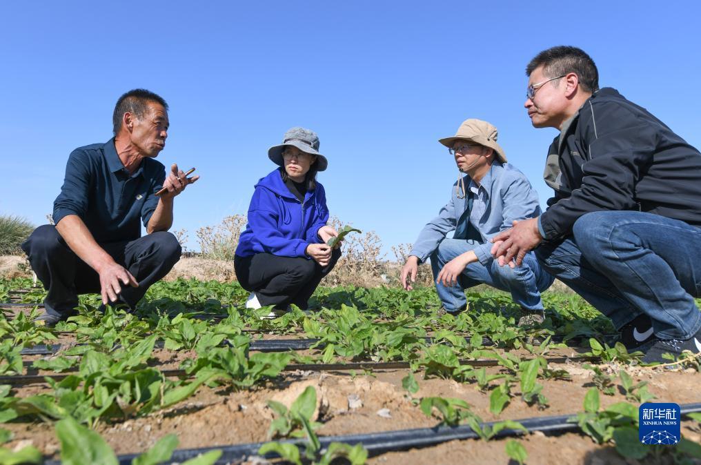 民间游戏网站